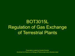 Chapter 3 BOT3015L Biology of Flowering Plants: Reproduction