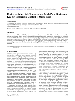 High-Temperature Adult-Plant Resistance, Key for Sustainable