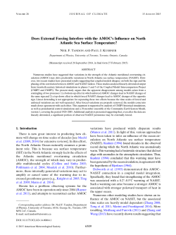 Does External Forcing Interfere with the AMOC`s