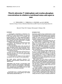 Muscle adenosine 5`-triphosphate and creatine