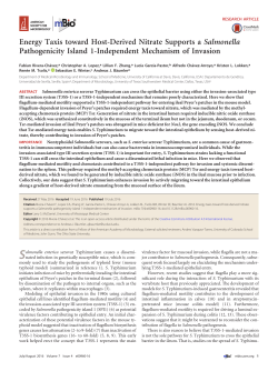 Energy Taxis toward Host-Derived Nitrate Supports a