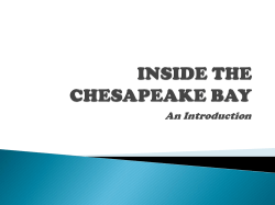 INSIDE THE CHESAPEAKE BAY