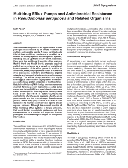 Multidrug efflux pumps and antimicrobial resistance i