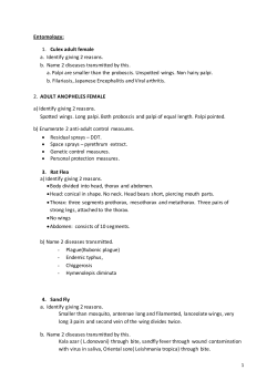 Entomology: 1. Culex adult female a. Identify giving 2