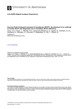 SCOT - UvA-DARE - University of Amsterdam