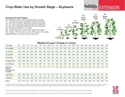 Crop Water Use by Growth Stage &ndash; Soybeans