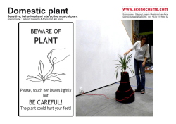 Domestic plant
