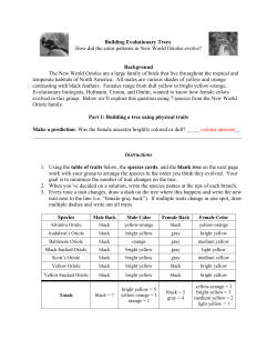 Building Tree worksheet: teacher guide