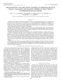 organization and relative content of smooth muscle cells, collagen