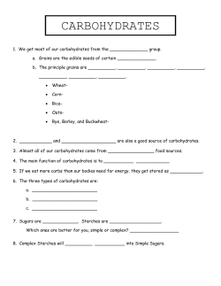 Carbohydrates Worksheet