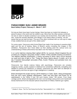 PARACOSMIC SUN I ANNIE BRIARD