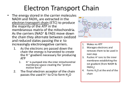 ETC and Energy Use