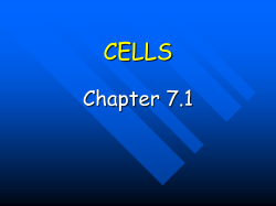 cells - Net Start Class