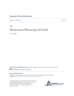 Fluorescence Microscopy of Cereals