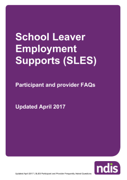 School Leaver Employment Supports (SLES) overview