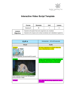ELAInteractiveVideo_G8