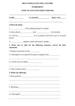 bhai parmanand vidya mandir worksheet topic