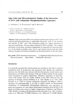 Spin Label and Microcalorimetric Studies of the Interaction of DNA