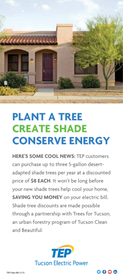 plant a tree create shade conserve energy