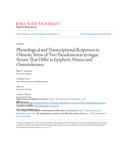 Physiological and Transcriptional Responses to Osmotic Stress of