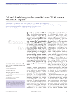 Calcium/calmodulin-regulated receptor