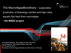 Plans for macro algae biorefinery