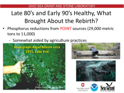 Late 80*s and Early 90*s Healthy, What Brought About the Rebirth?