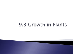 9.3 Growth in Plants