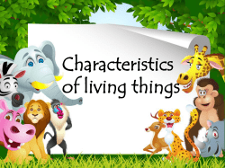 Unit A * Chapter 1 Lesson 1