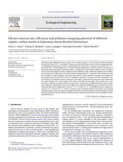 Nitrate removal rate, efficiency and pollution swapping