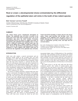 Root or crown: a developmental choice orchestrated by the