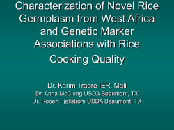 Genetic Diversity among West African Varieties for Grain