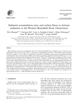 Sediment accumulation rates and carbon fluxes to bottom