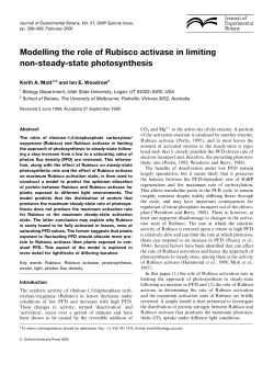 Modelling the role of Rubisco activase in limiting