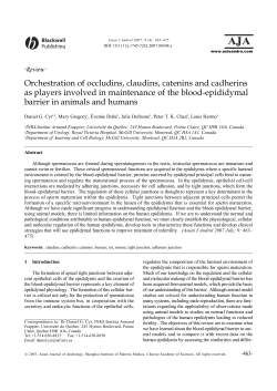 Orchestration of occludins, claudins, catenins and cadherins as
