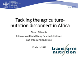 Dr. Stuart Gillespie`s presentation