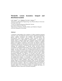 Metabolic system dynamics: lumped and distributed models