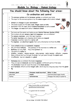 Module 3 &ndash; Chemical Patterns
