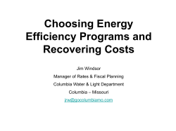 Choosing Energy Efficiency Programs and Recovering Costs