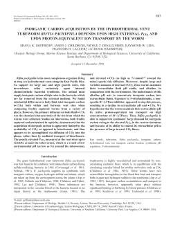 inorganic carbon acquisition by the hydrothermal vent tubeworm