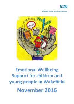Emotional Wellbeing Support for children and young people in