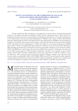 effect of hypoxia on the expression of nuclear genes encoding