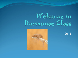 Welcome to Snowy Owl Class - Anthony Roper Primary School