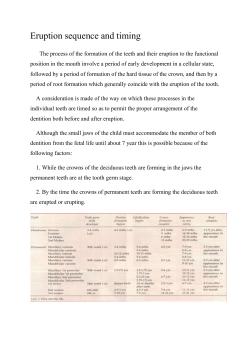 Eruption sequence and timing