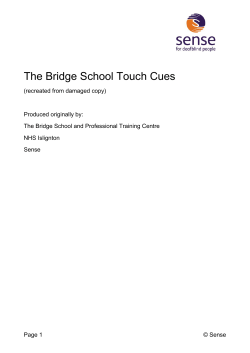 The Bridge School Touch Cues