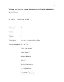 1 Root and shoot growth by seedlings of annual and perennial