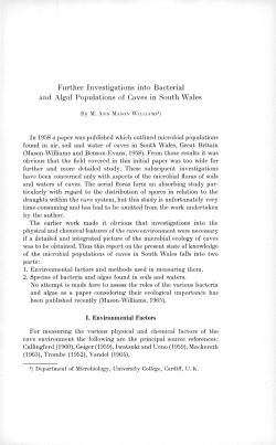 Further investigations into bacterial and algal populations of caves