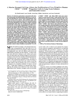 A Murine Stromal Cell Line Allows the Proliferation