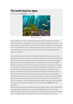 The world dyed by algae