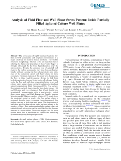 Analysis of Fluid Flow and Wall Shear Stress Patterns Inside